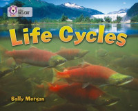Image of Life Cycles (Band 16/Sapphire)